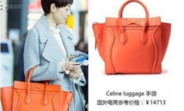 私密包包有哪些品牌,品味与时尚的完美融合