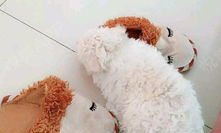 私密处变粉嫩的产品,粉嫩呵护——私密处护理产品全面解析